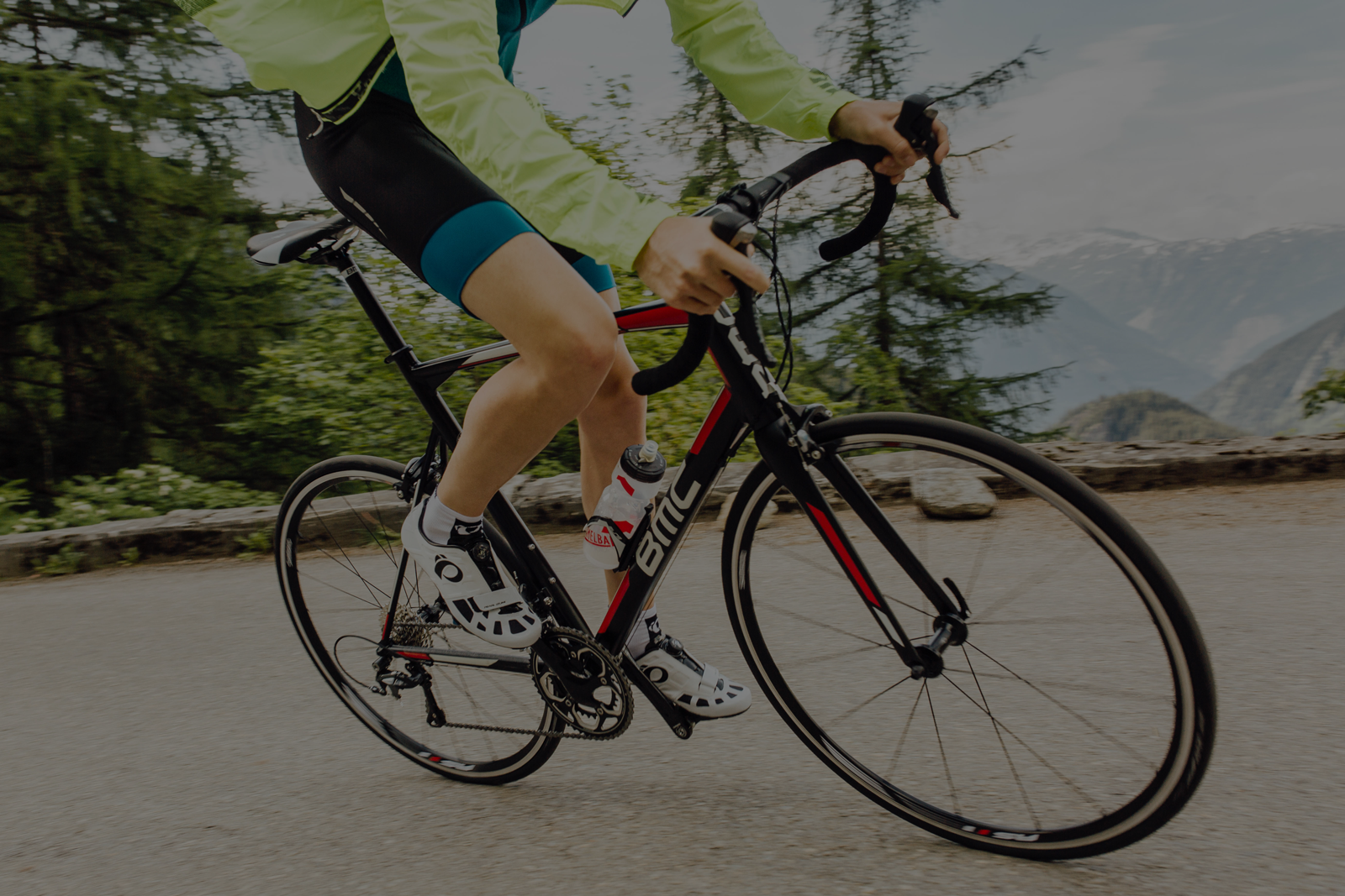 LifeCycle Ltd Irish Bicycle Distributor